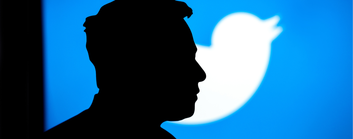 Twitter Logo und Musk Silhouette