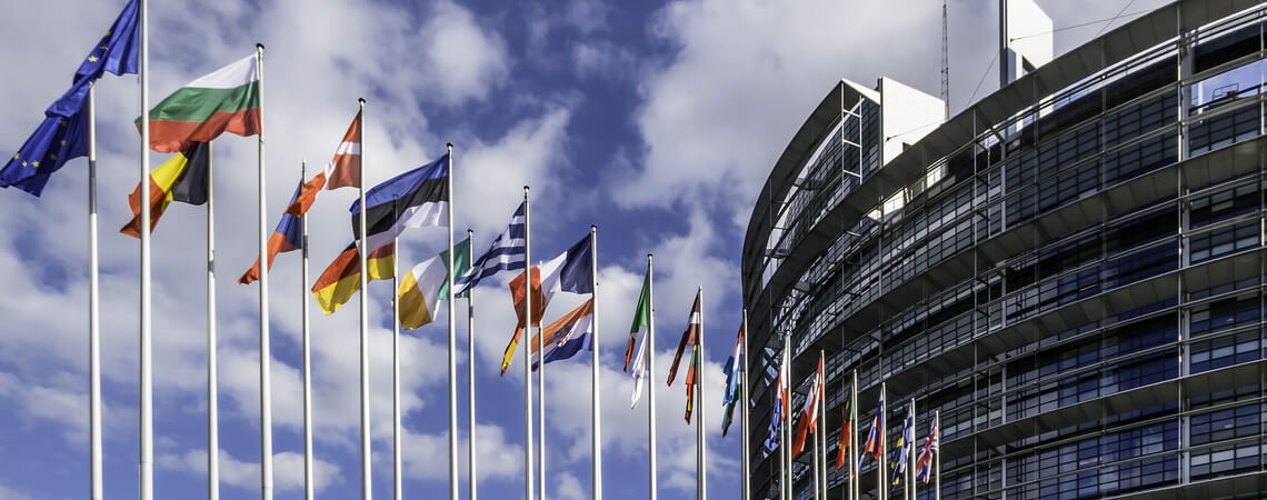 Flaggen vor dem Europäischen Parlement ist Strasbourg.