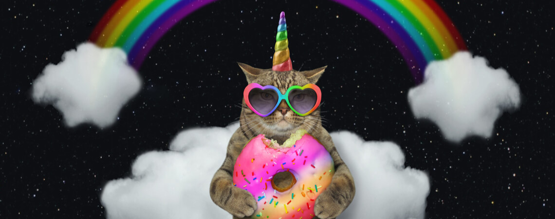 Einhorn-Katze mit Regenbogen