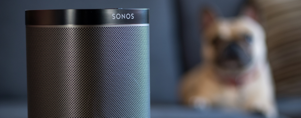 Hund und Sonos-Speaker