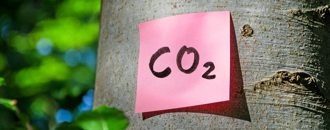 CO2 auf Klebezettel an Baum