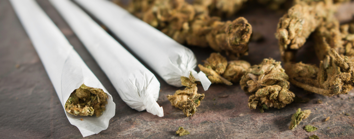 Cannabis-Blüten neben Joints
