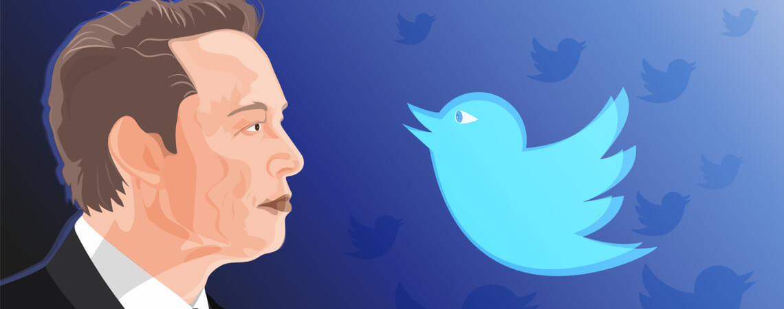 Elon Musk und Twittervogel