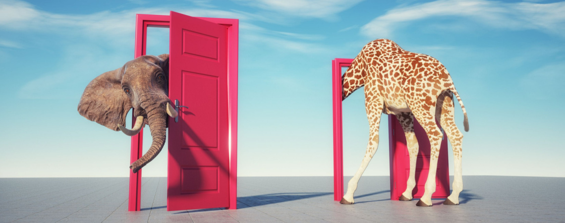 Giraffe betritt eine Tür und kommt als Elefant heraus.