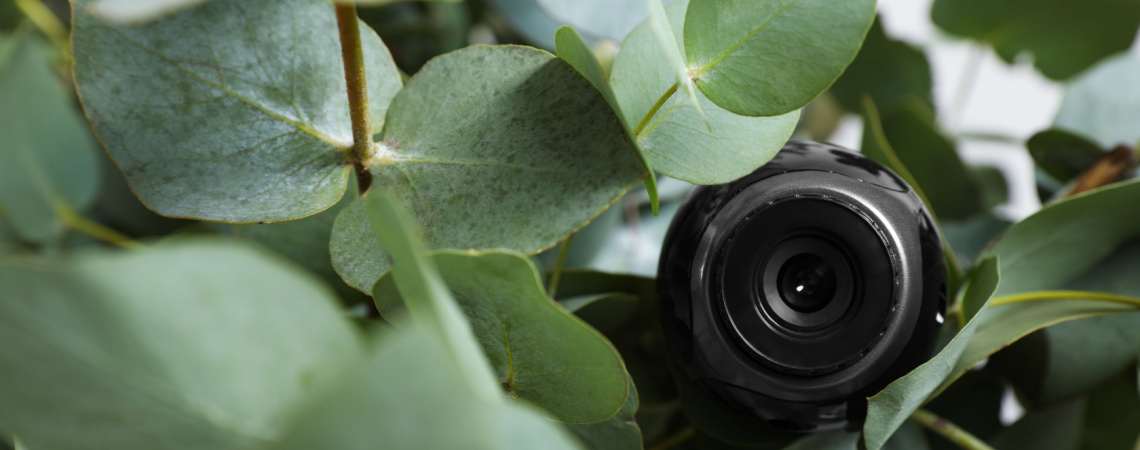 Kamera zwischen Blättern