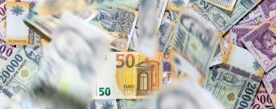 Euro- und Forint-Scheine