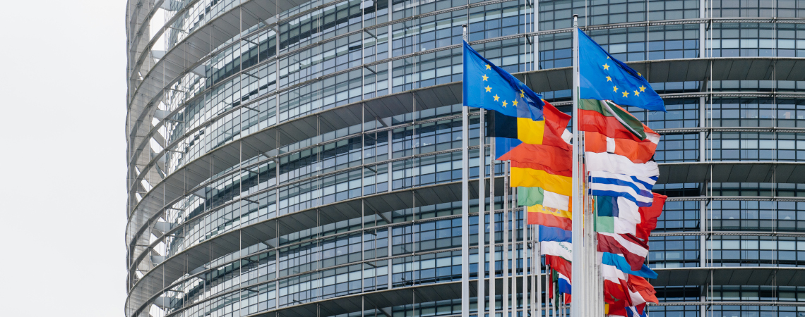 Flaggen vor EU-Parlament