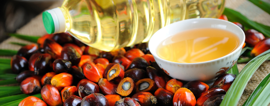 Öl auf Früchten und Blatt der Ölpalme