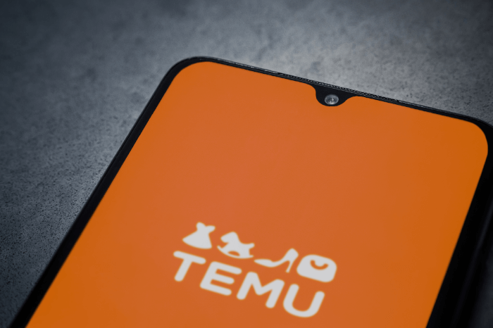 Logo der Shopping-App Temu auf einem Mobiltelefon